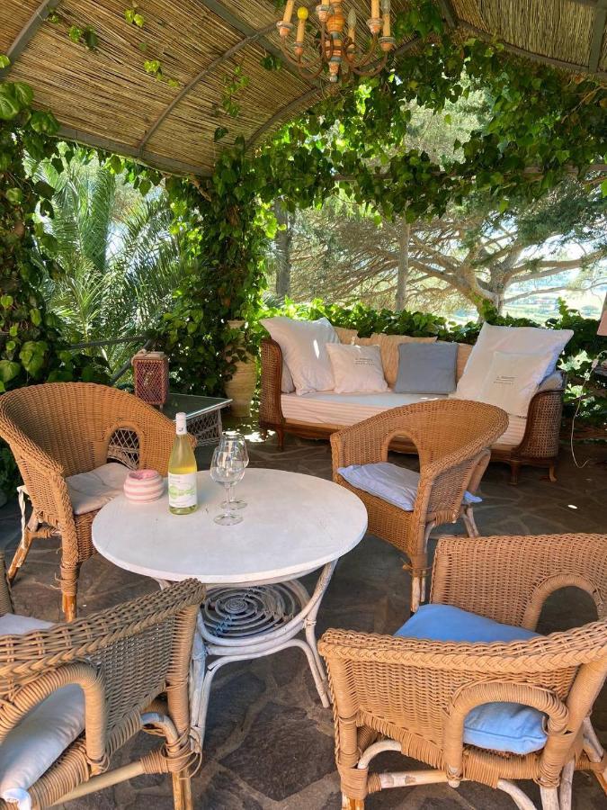 B&B Villa Il Poggetto Venturina Terme Exterior foto