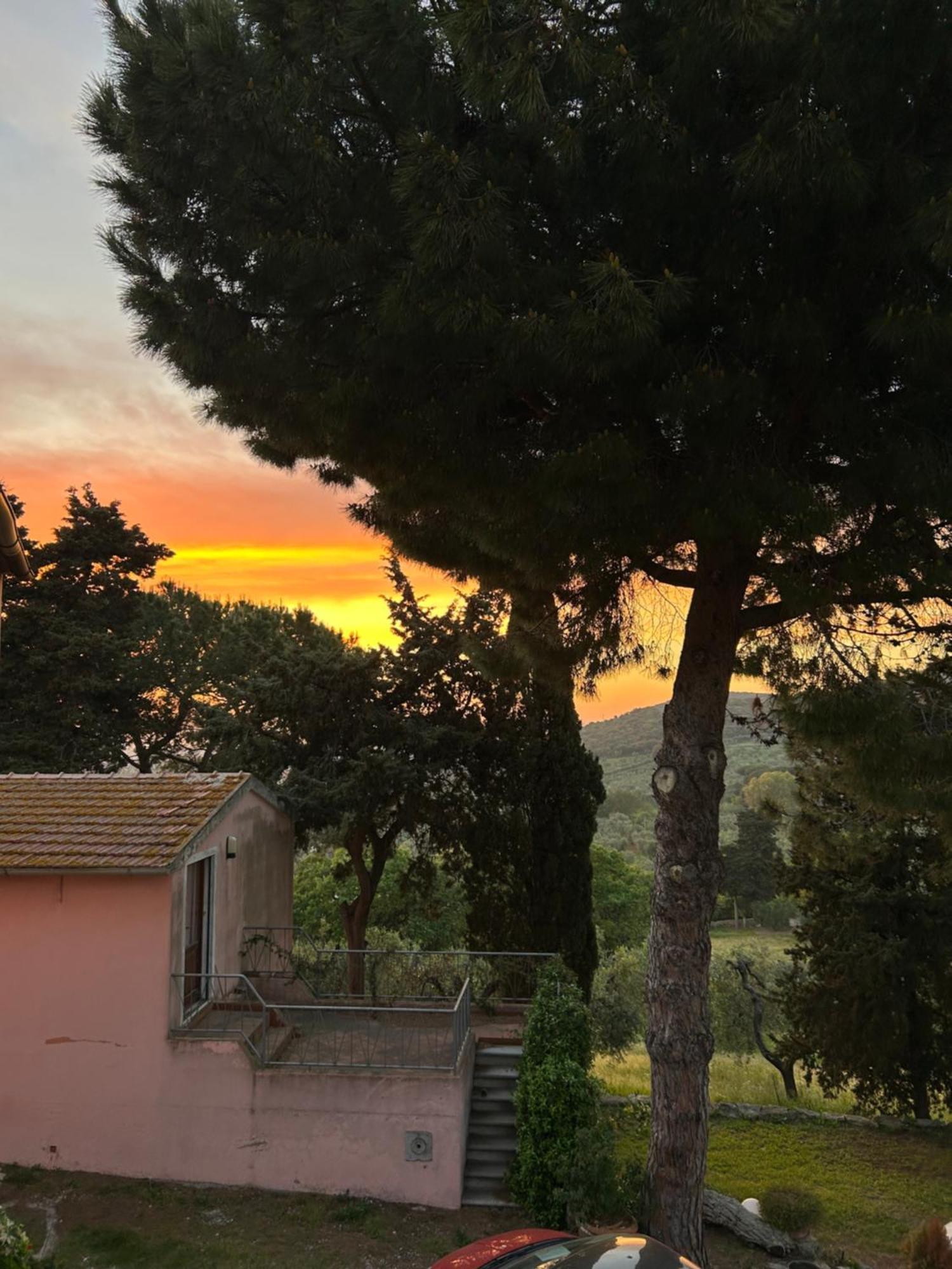 B&B Villa Il Poggetto Venturina Terme Exterior foto